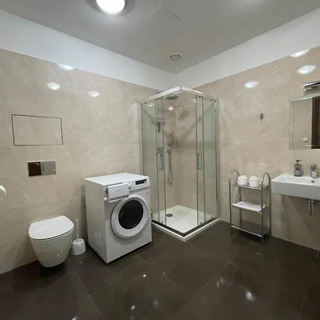 Moser 2106 公寓 卡罗维发利