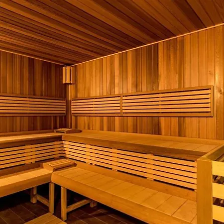 Moser 2106 公寓 卡罗维发利