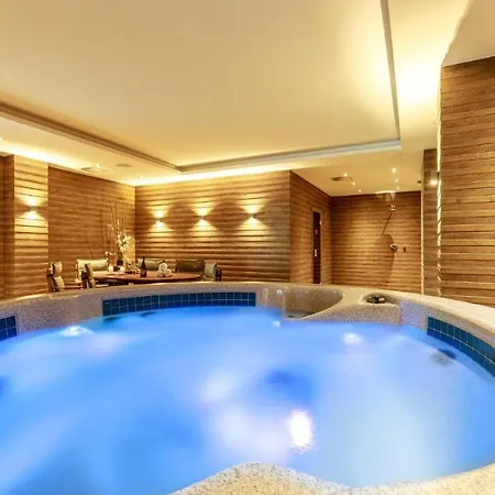 公寓 Moser 2106 卡罗维发利