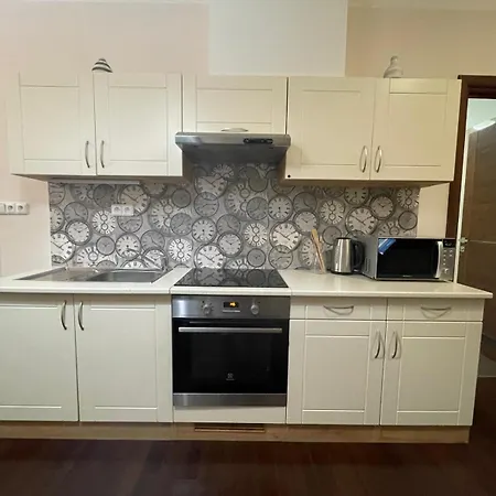 公寓 Moser 2106 卡罗维发利