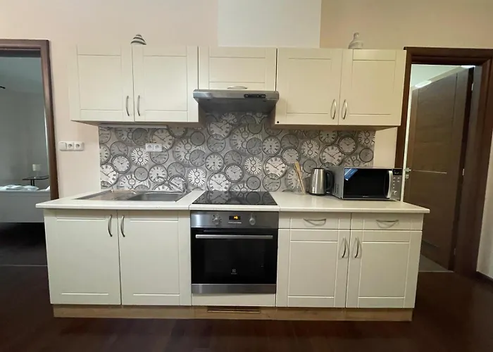 Apartmán Moser 2106 Karlovy Vary